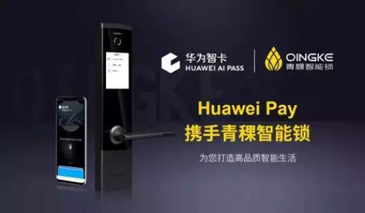 HUAWEI AI PASS Я Ϊûʲô?