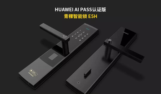 HUAWEI AI PASS618!