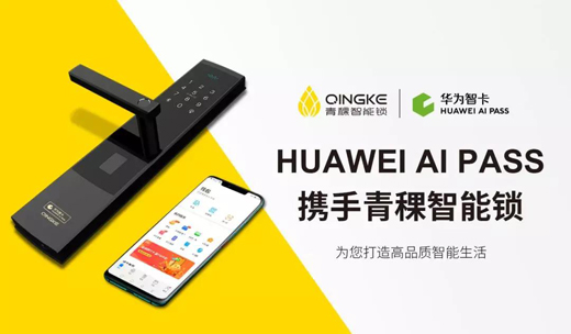 HUAWEI AI PASS618!