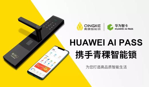 һ޹ݽ,HUAWEI AI PASSЯ𺳷