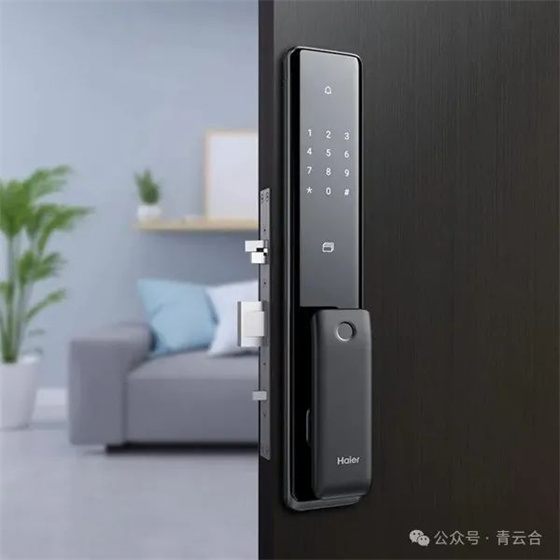 明智选择智能锁：掌握这几点建议，告别盲目挑选!