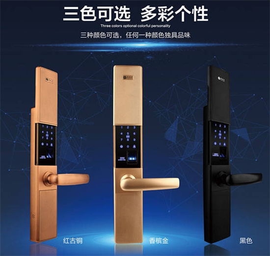 锁具技术如何结合生物识别，提升安全性与便利性